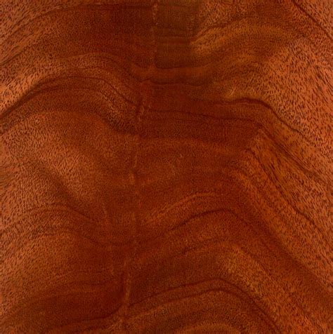 mahogany wood identification